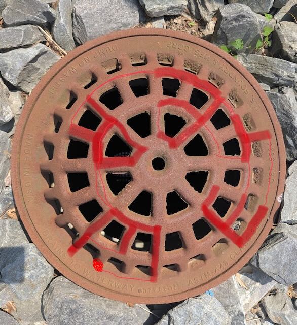 Sewer grate viewed from above with turtle path drawn on it